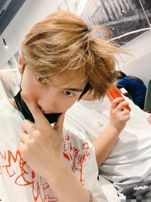 柴犬男星爆料视频大全集,揭秘娱乐圈幕后故事  第2张