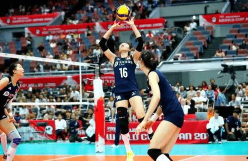 巴西女排爆料最新消息直播,揭秘备战奥运的幕后故事  第1张