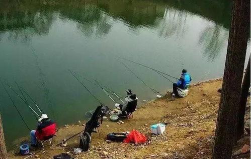 水库大鱼爆料怎么做视频,视频制作攻略全解析  第2张